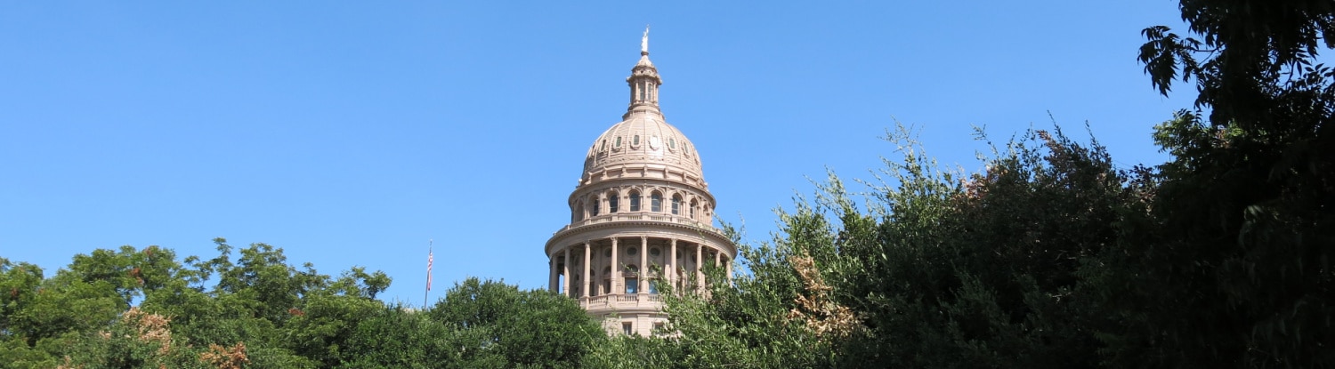 special districts texas legislative session 2017